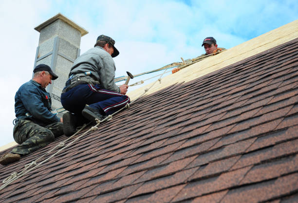 Best Metal Roofing Contractor  in Ferndale, PA