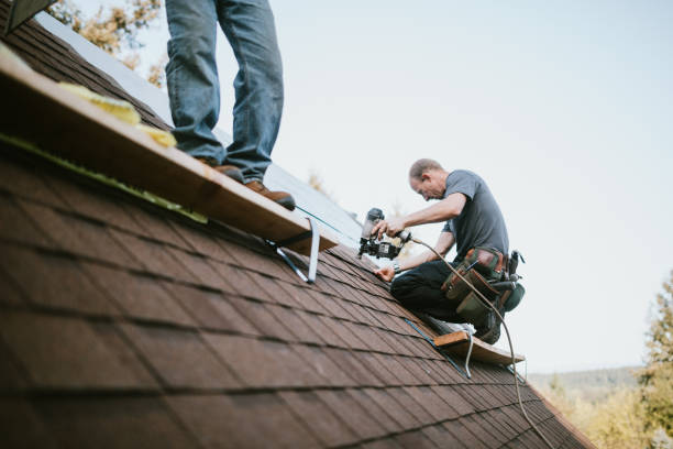 Best Best Roofing Contractors  in Ferndale, PA